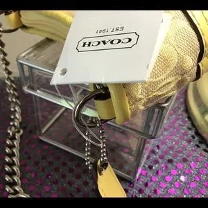 Coach | Bags | Nwt Coach Signature Mini Coin Purse Lemon